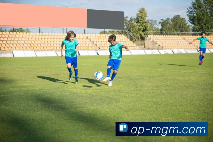 多媒体互动体验