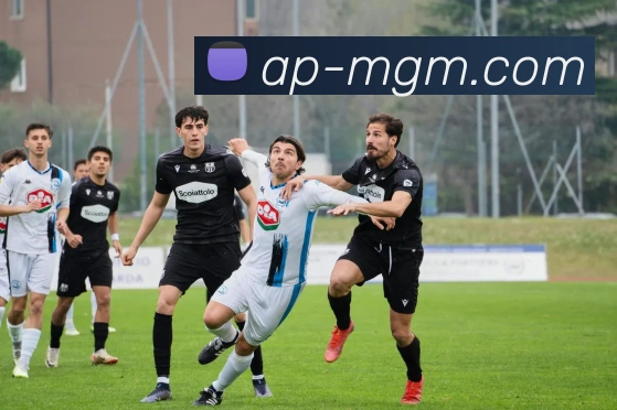 美高梅官网APP 高清赛事图